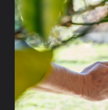 Comment éviter les moisissures chez soi ?